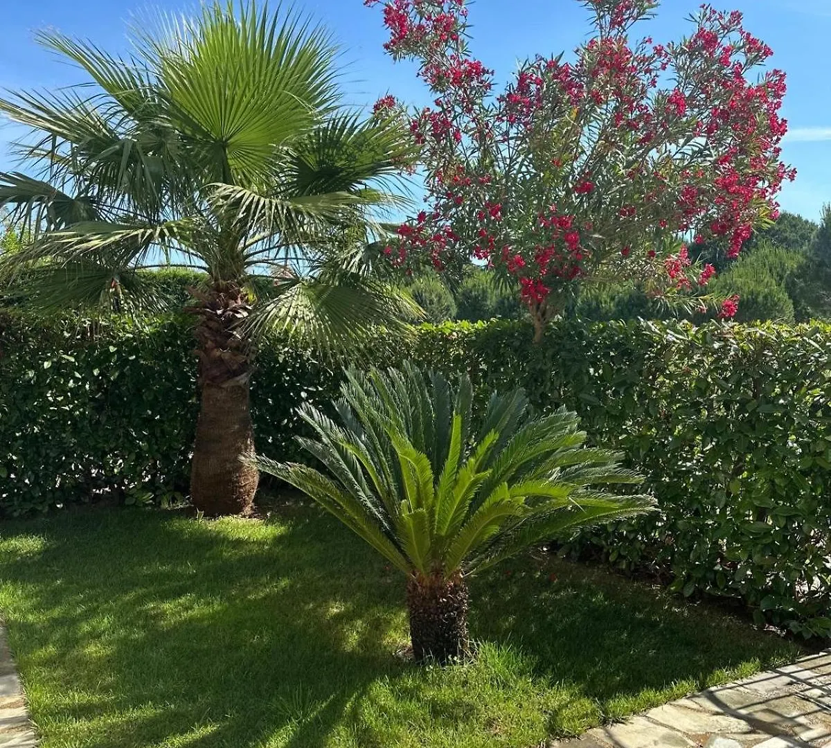 Gjiri I Lalzit Lura 3 Apartment Toni Durres Albania